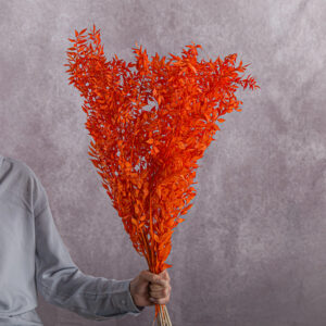 Ruscus Preserved Orange 5 stems per bunch