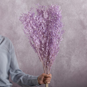 Ruscus Preserved Lavender 5 stems per bunch