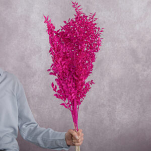 Ruscus Preserved Hot Pink 5 stems per bunch
