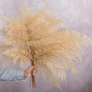 Fern Bracken Cream 5 stems per bunch