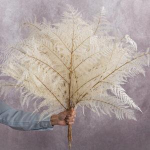 Fern Bracken White 5 stems per bunch