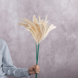 Feathers Cocktail Cream 6 stems per bunch