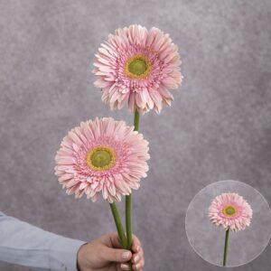 Gerbera Light Pink (Yellow Center) 2 stems per bunch