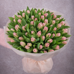Pink Frill Bouquet 50 stems