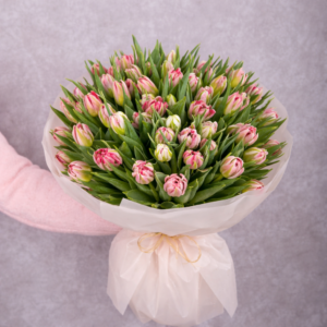 Double Variegated Pink Tulips Bouquet 50 stems