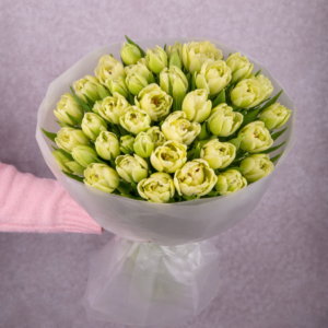 Double Cream Tulips Bouquet 50 stems